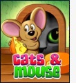 Cats & Mouse Cats & Mouse