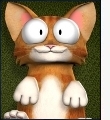 iKitty