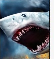 Sharknado