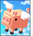 Sky Hoppers - News