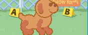 My Dog