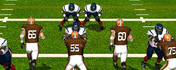 NFL Pro 2013