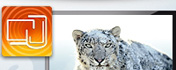 RDM plus Remote Desktop